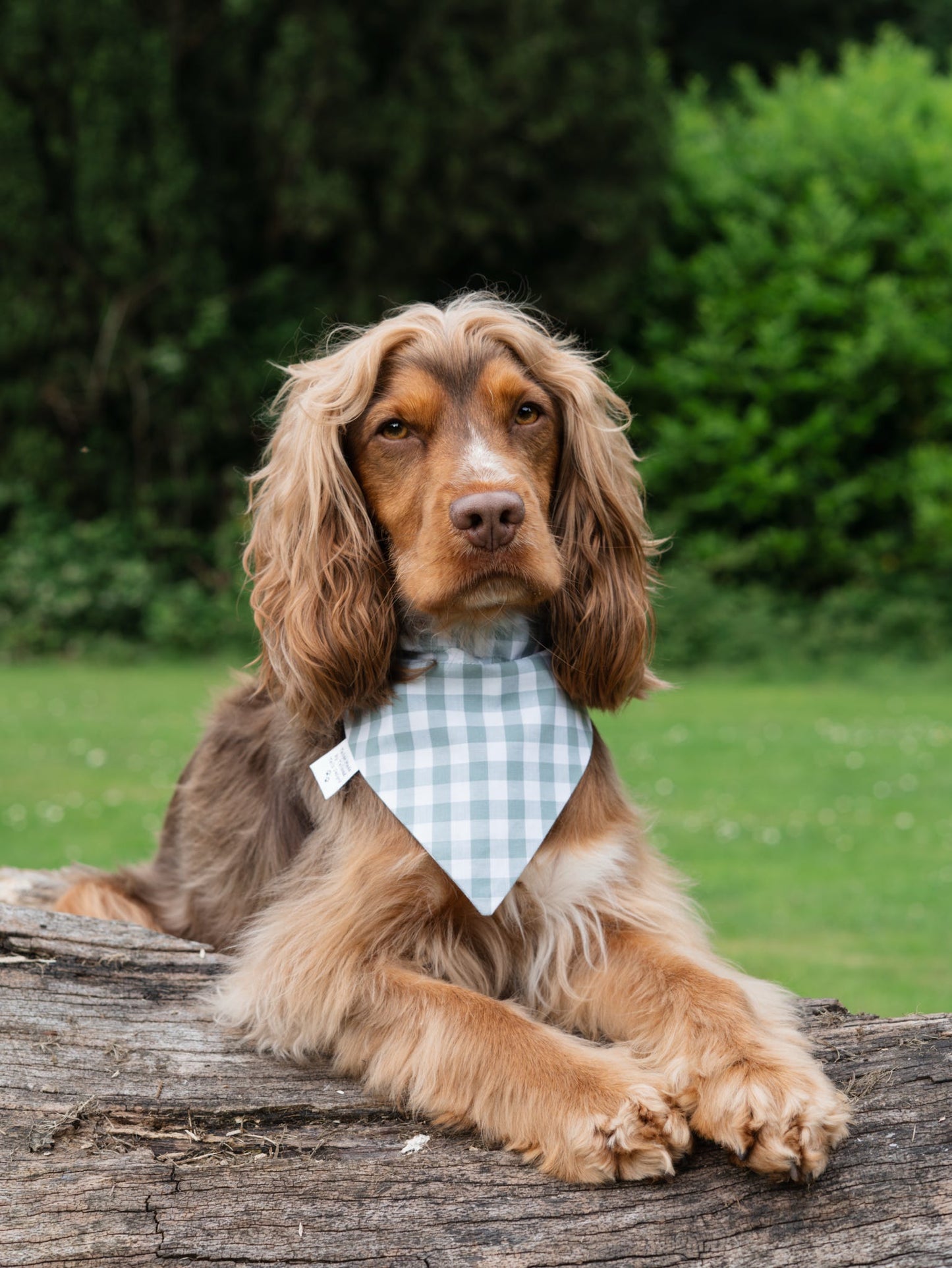 Handmade Dog Bandana - Duck Egg Gingham