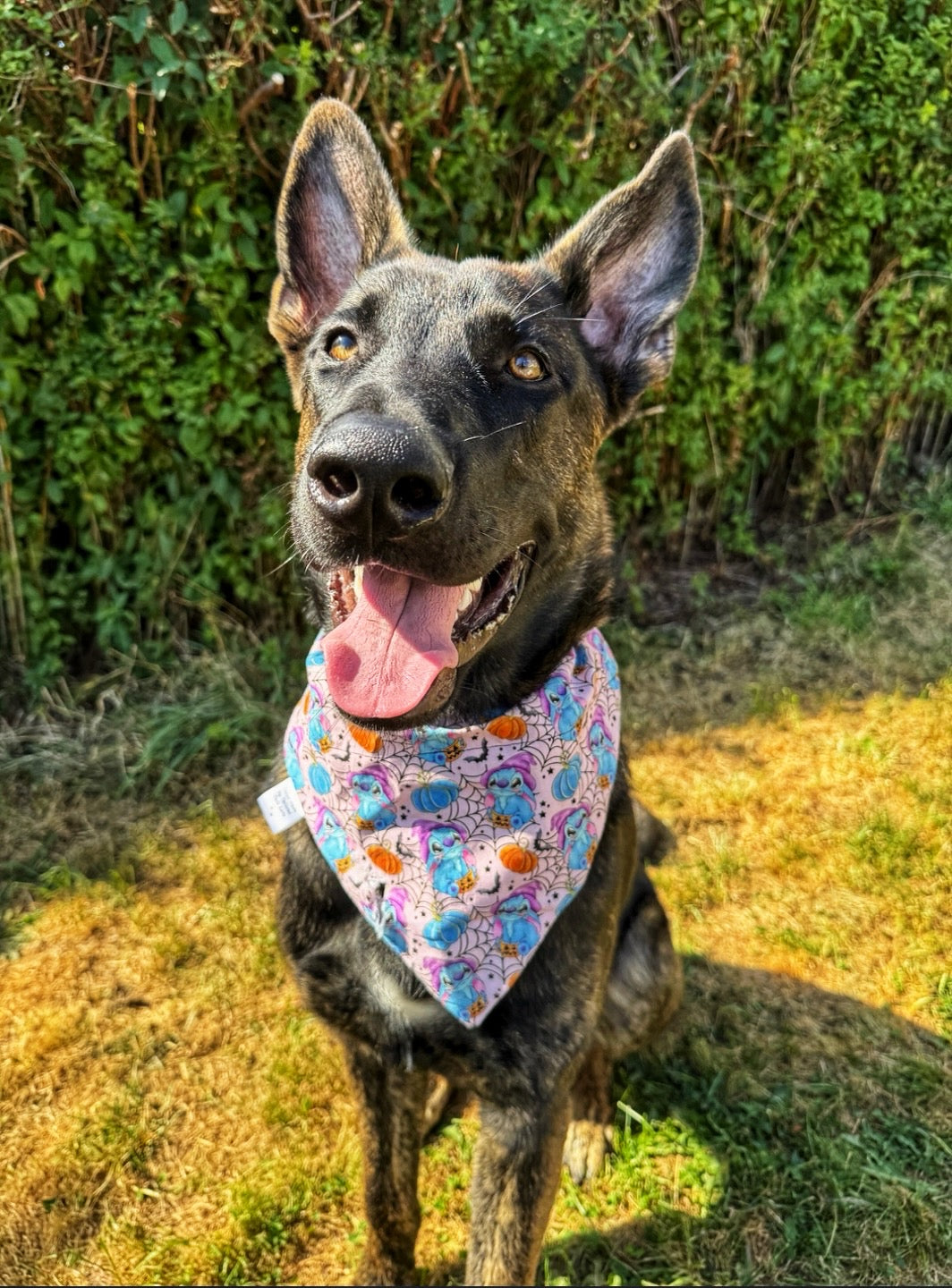 Dog Bandana - Boo-tiful Stitch