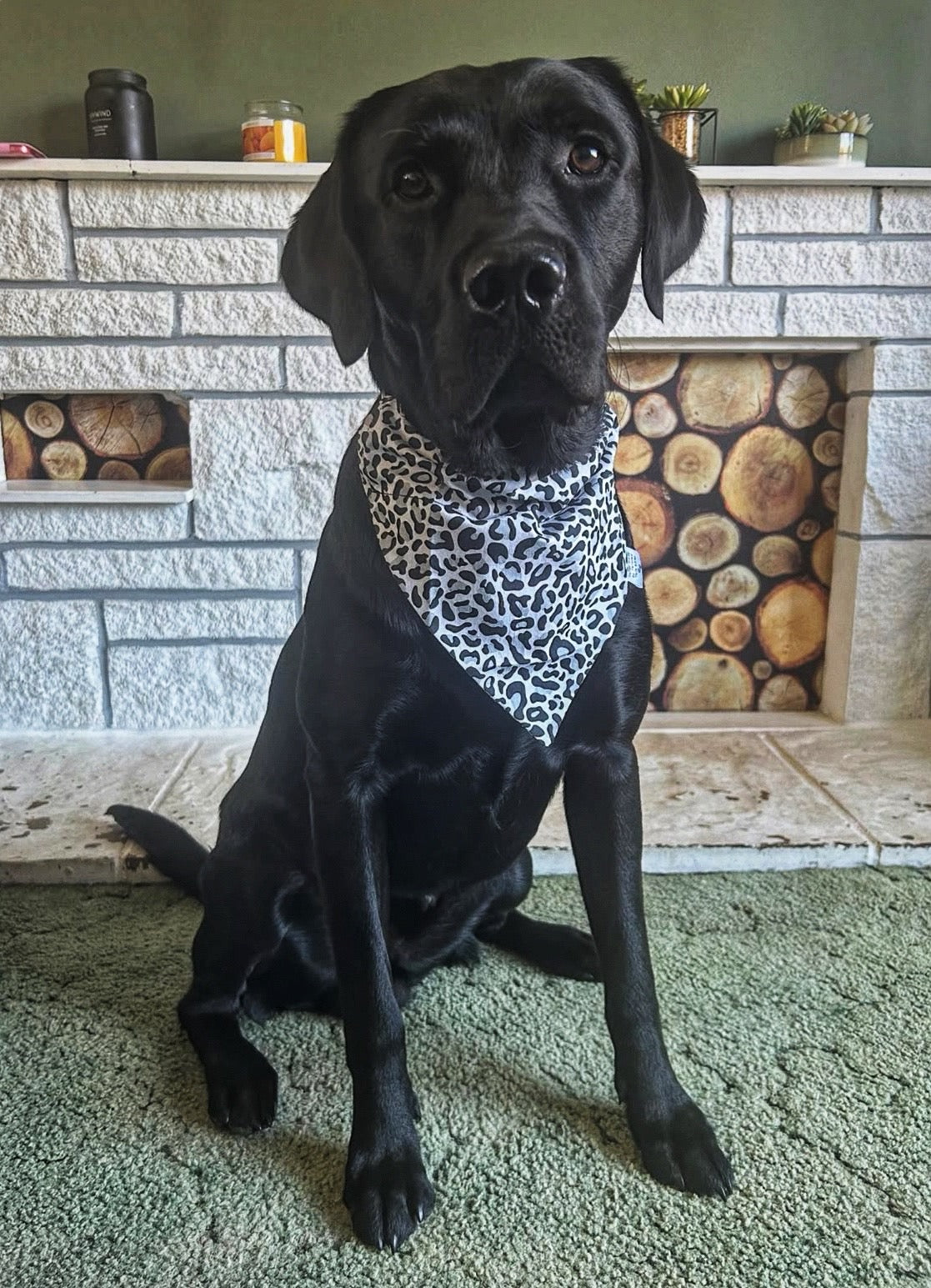 Dog Bandana - Neutral Leopard