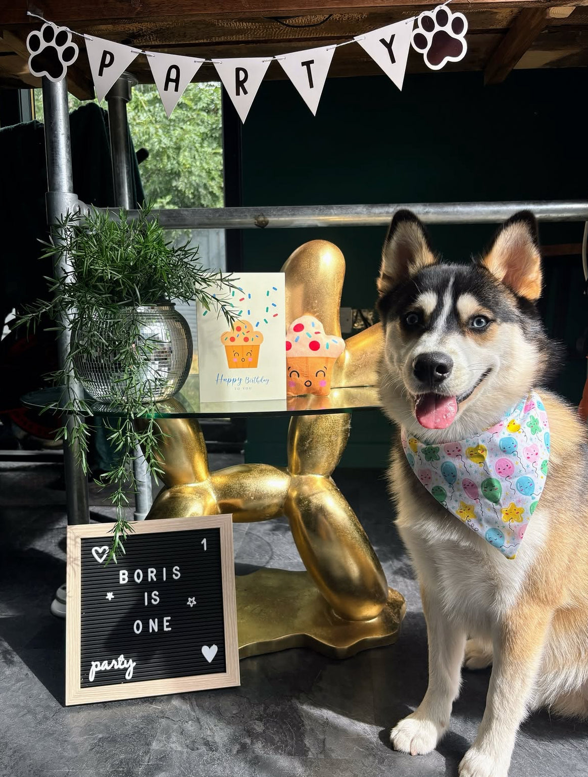 Dog Bandana - Birthday Floaties