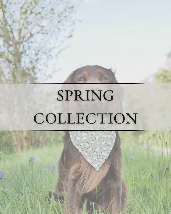 Spring Collection