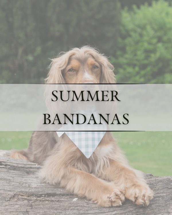 Summer Bandanas