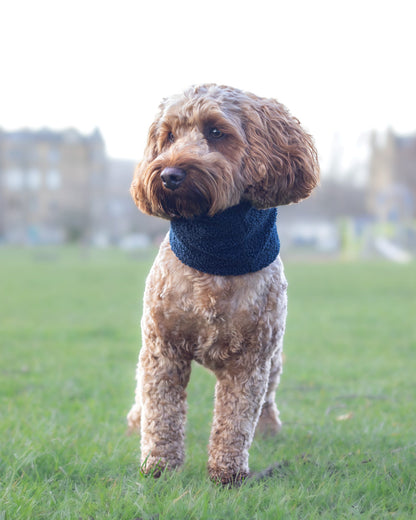 Handmade Borg Dog Snood - Marine