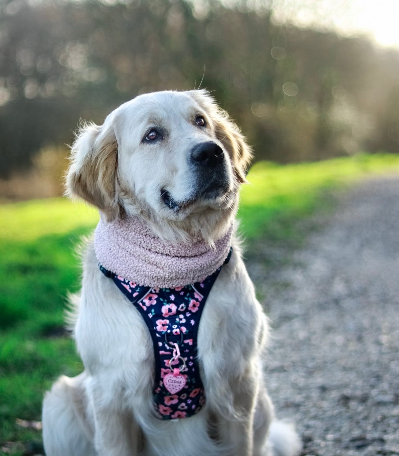 Handmade Borg Dog Snood - Blush Pink
