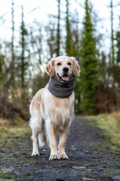 Handmade Borg Dog Snood - Mushroom
