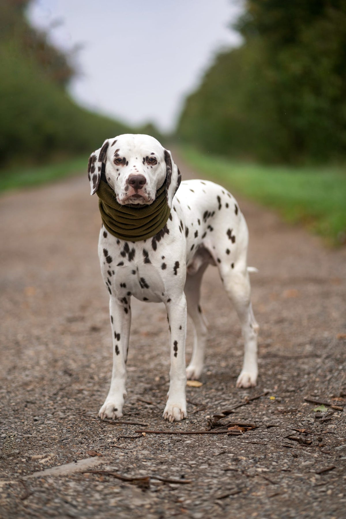 Handmade Polar Fleece Dog Snood - Khaki