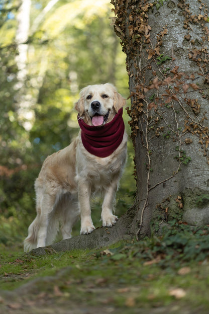 Handmade Polar Fleece Dog Snood - Wine