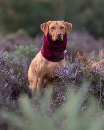 Handmade Polar Fleece Dog Snood - Wine