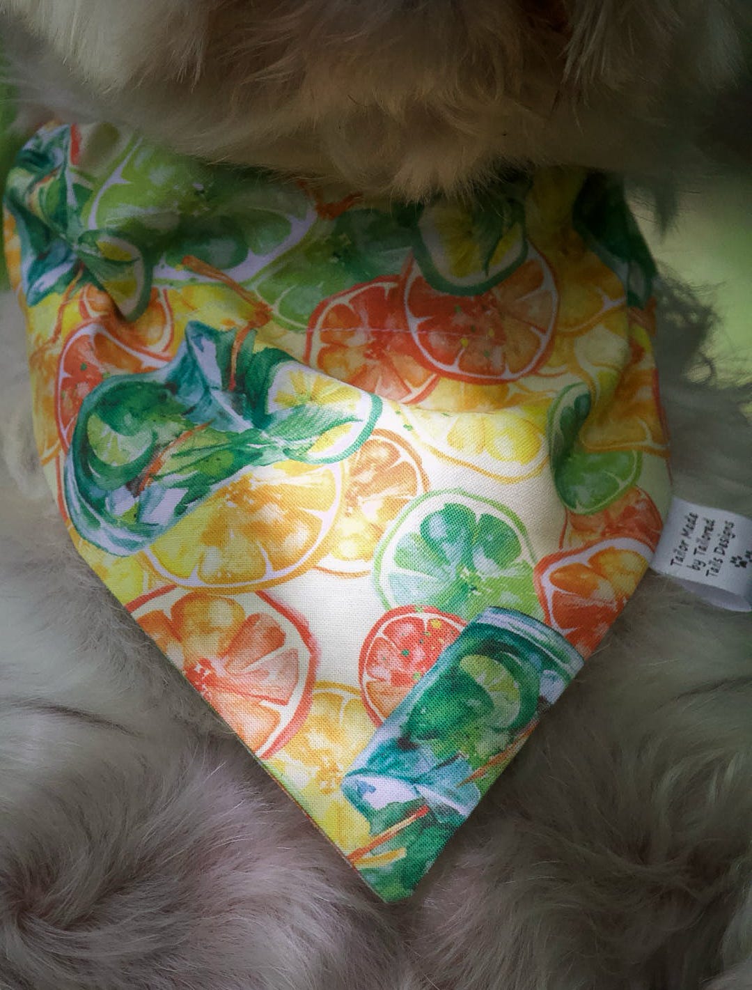 Handmade Dog Bandana - Summer Spritz