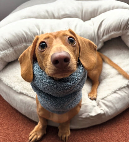 Handmade Borg Dog Snood - Dusty Blue