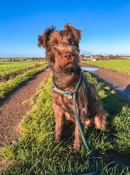 Tailor-Made Paracord Dog Slip Lead - Design Your Own