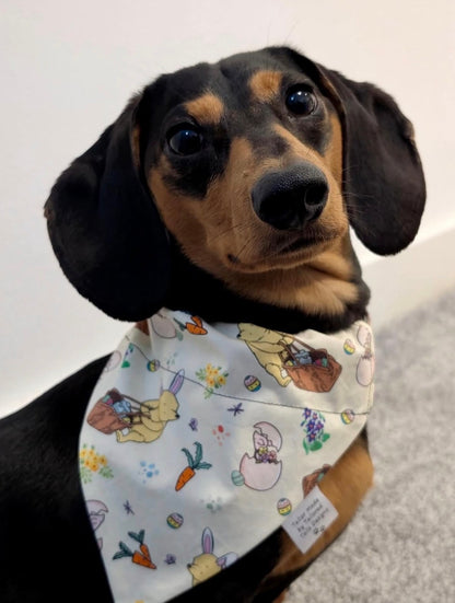 Pooh’s Spring Picnic - Beige - Spring Edition