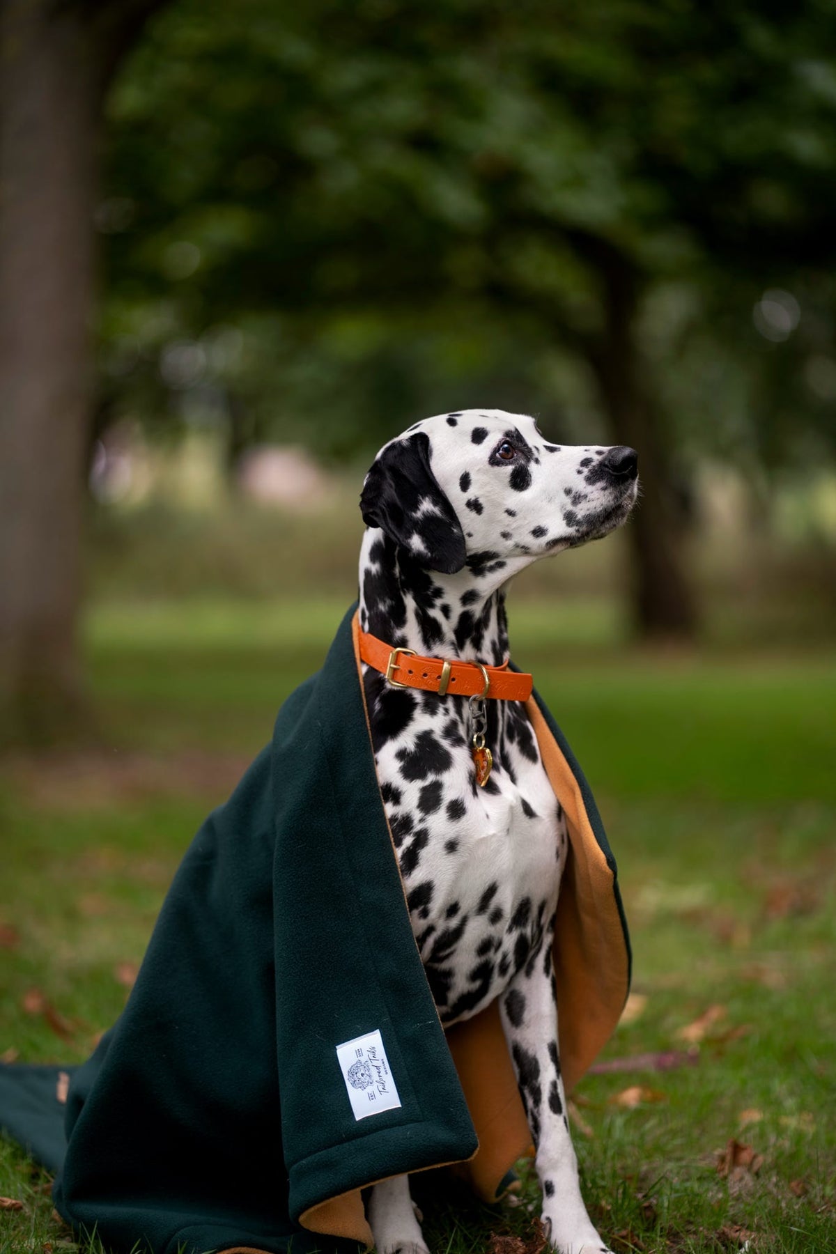 Build Your Own Handmade Blanket