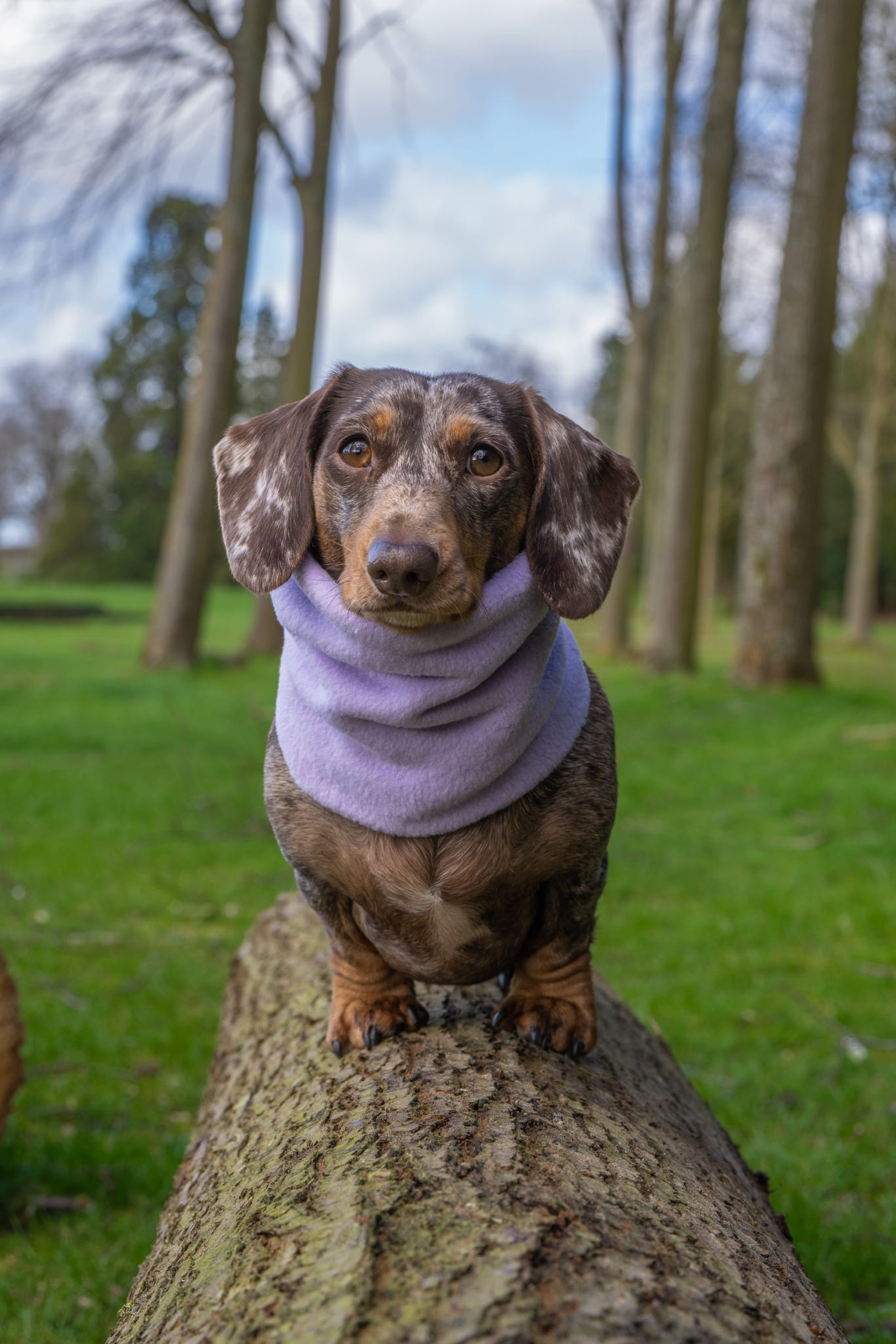 Handmade Polar Fleece Dog Snood - Lilac