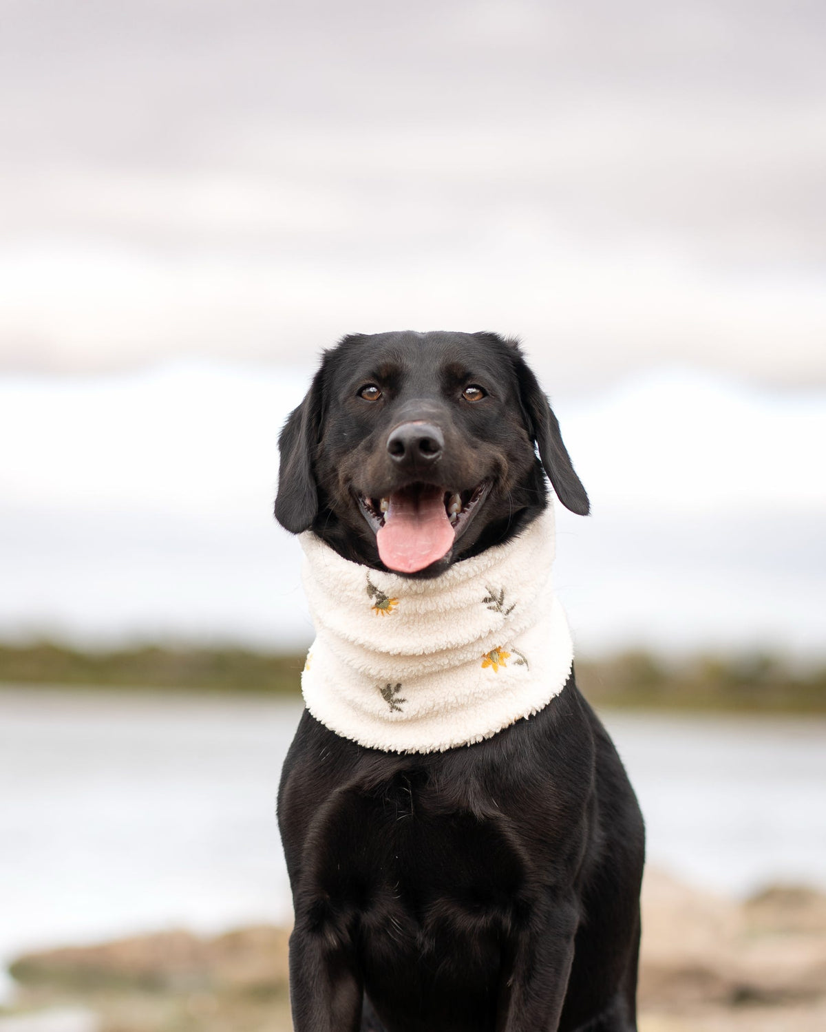 Handmade Teddy Fleece Dog Snood - Golden Meadow - Embroidered Design
