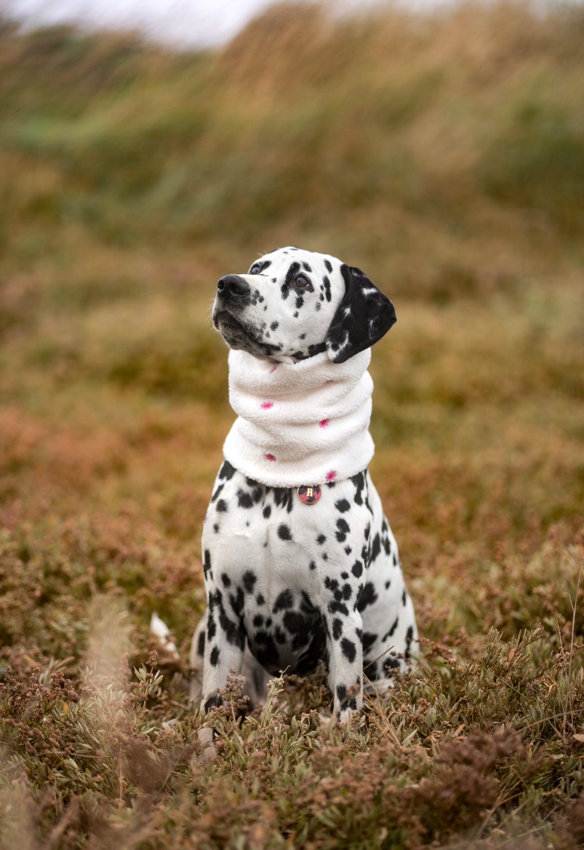 Handmade Teddy Fleece Dog Snood - Dusky Daisies - Embroidered Design