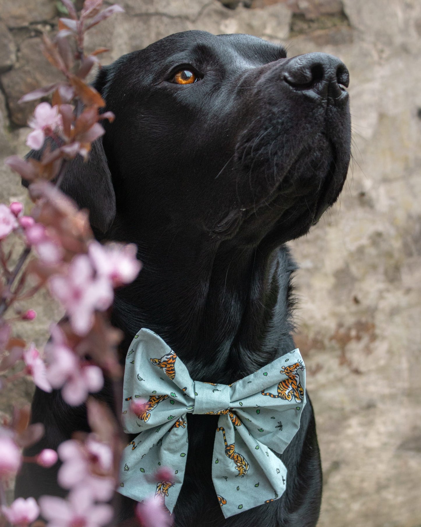 Tigger’s Tumble - Mint - Sailor Bow