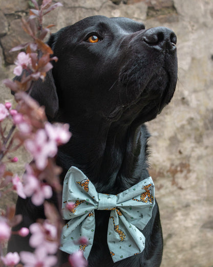 Tigger’s Tumble - Mint - Sailor Bow