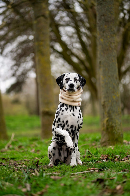 Handmade Fleece Dog Snood - Bear Necessities