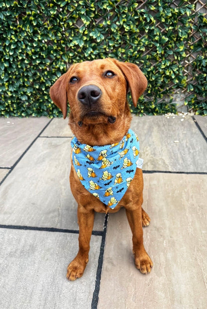 Dog Bandana - Boo-tiful Pooh