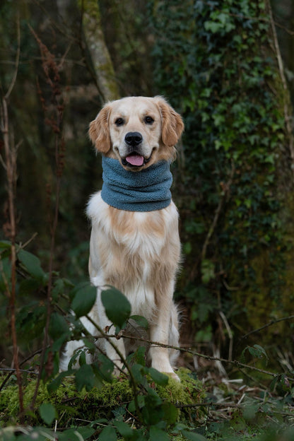 Handmade Borg Dog Snood - Dusty Blue
