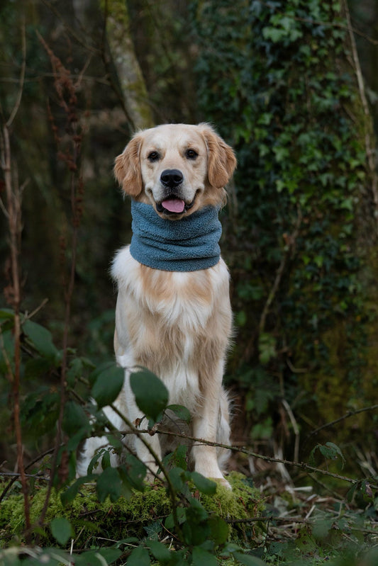 Handmade Borg Dog Snood - Dusty Blue