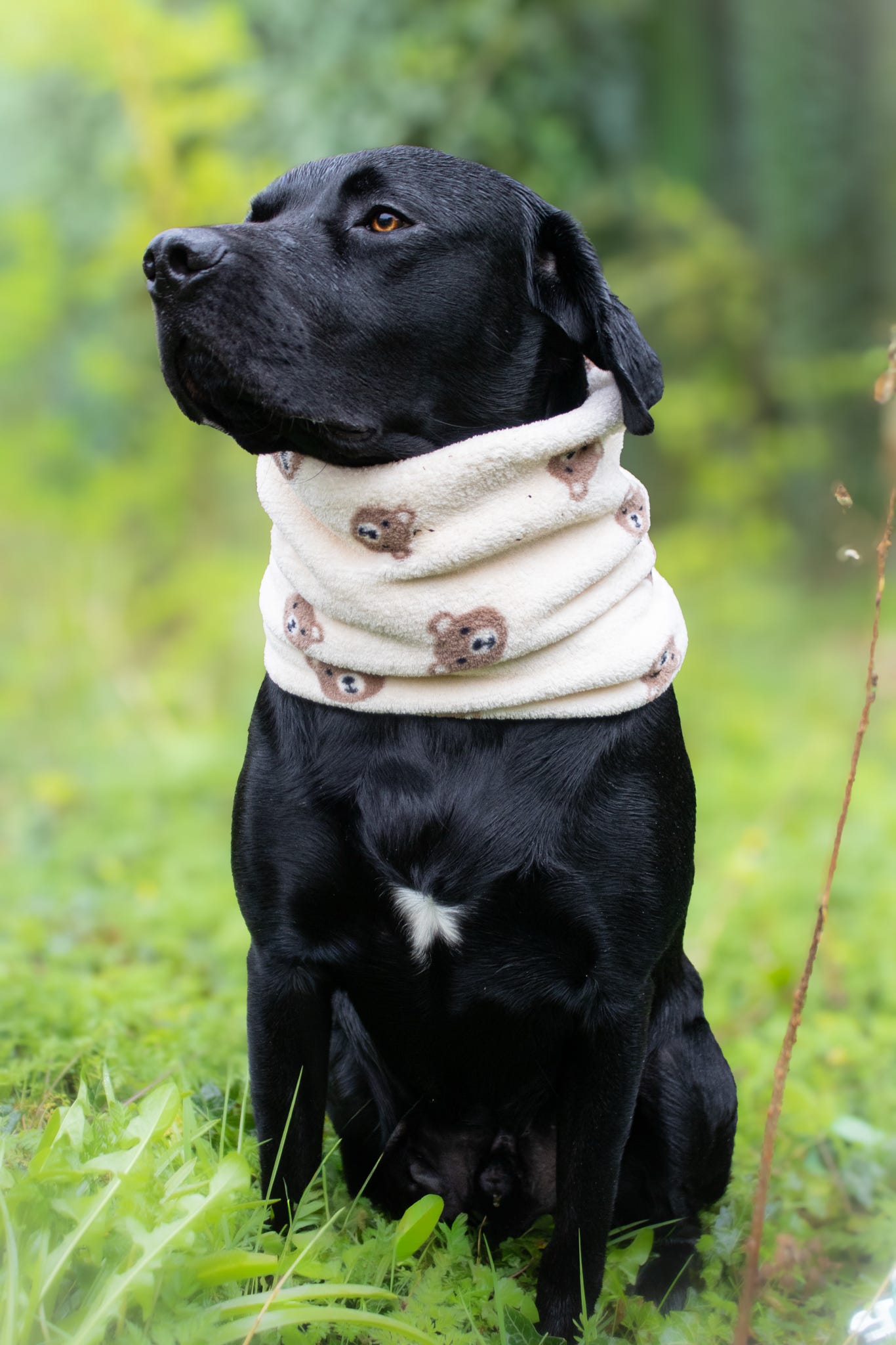Handmade Fleece Dog Snood - Bear Necessities