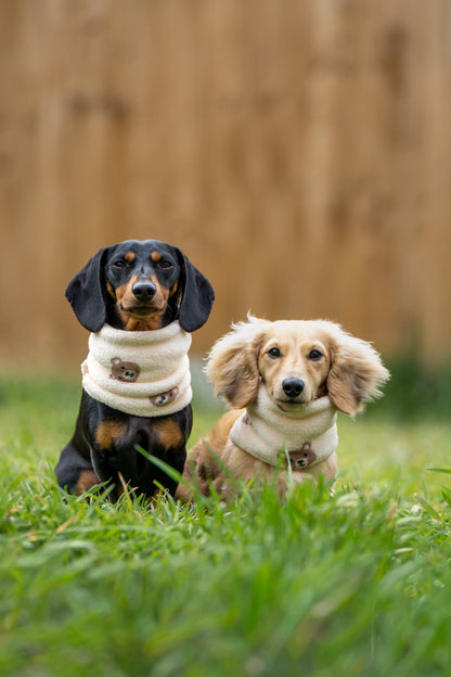 Handmade Fleece Dog Snood - Bear Necessities