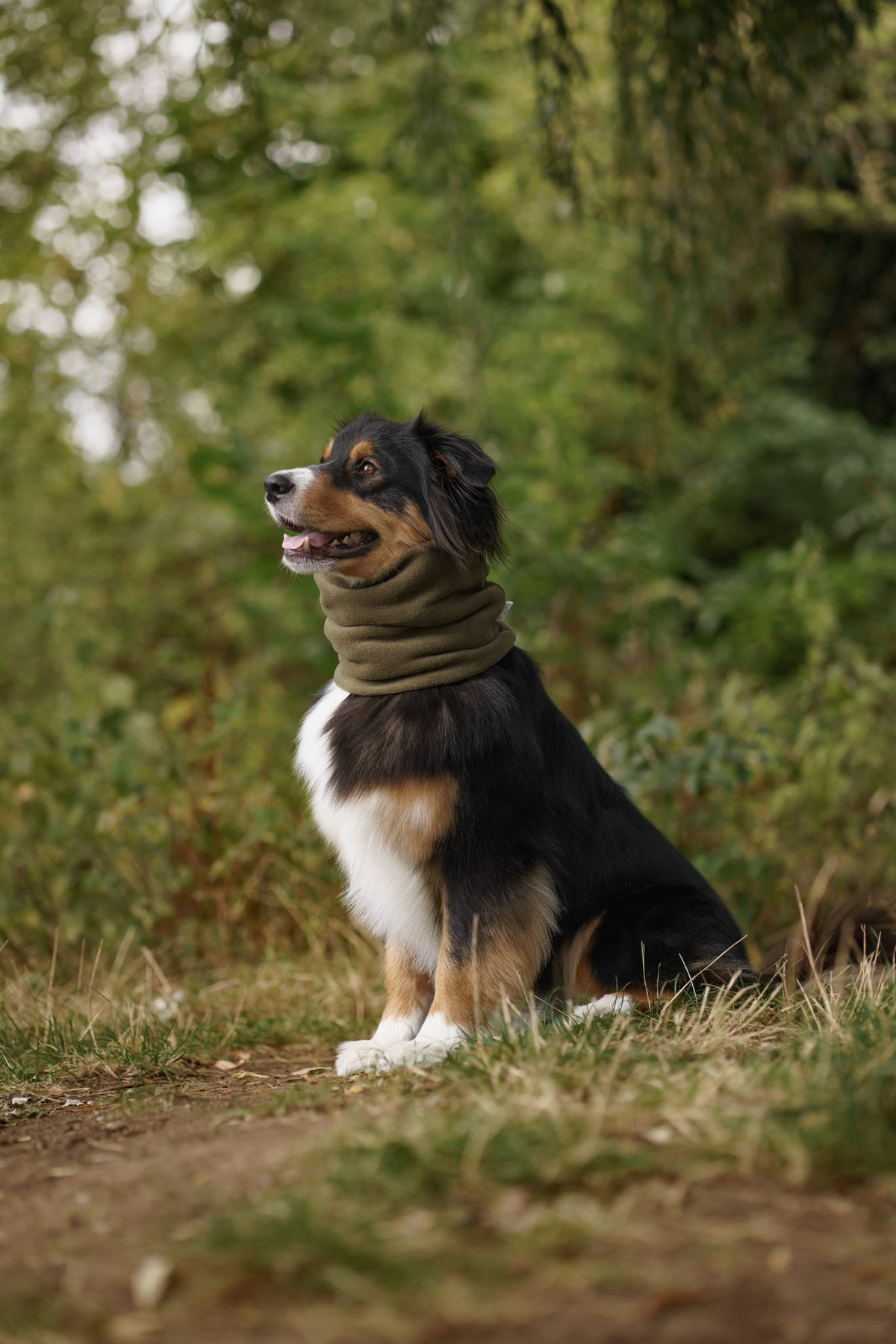 Handmade Polar Fleece Dog Snood - Khaki