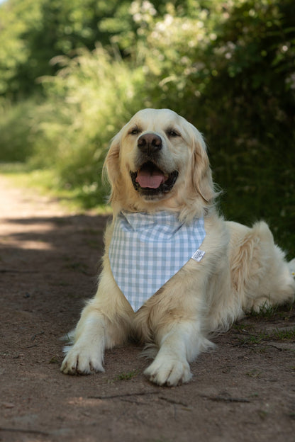 Handmade Dog Bandana - Seasalt Gingham