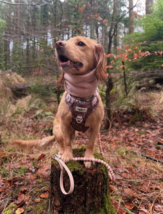 Handmade Borg Dog Snood - Blush Pink