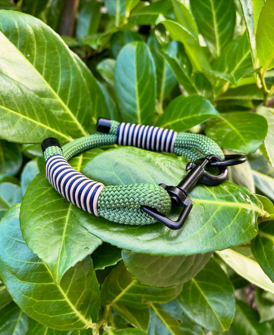 Tailor-Made Single Layered Dog Collar – Design Your Own