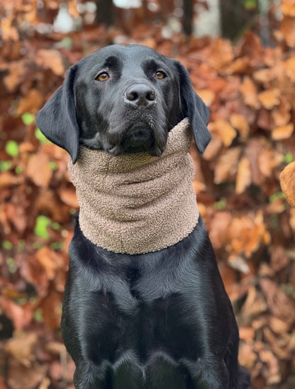 Handmade Borg Dog Snood - Mushroom