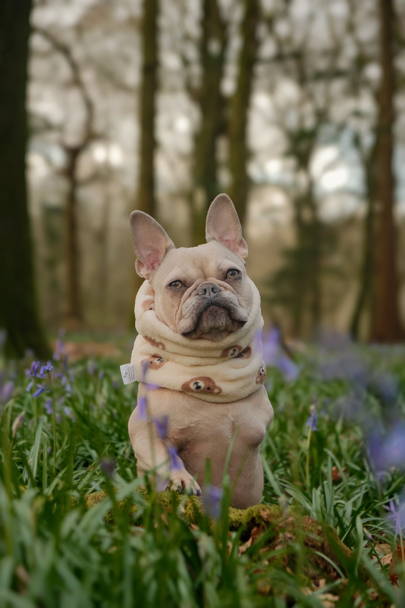 Handmade Fleece Dog Snood - Bear Necessities
