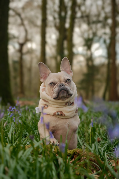 Handmade Fleece Dog Snood - Bear Necessities