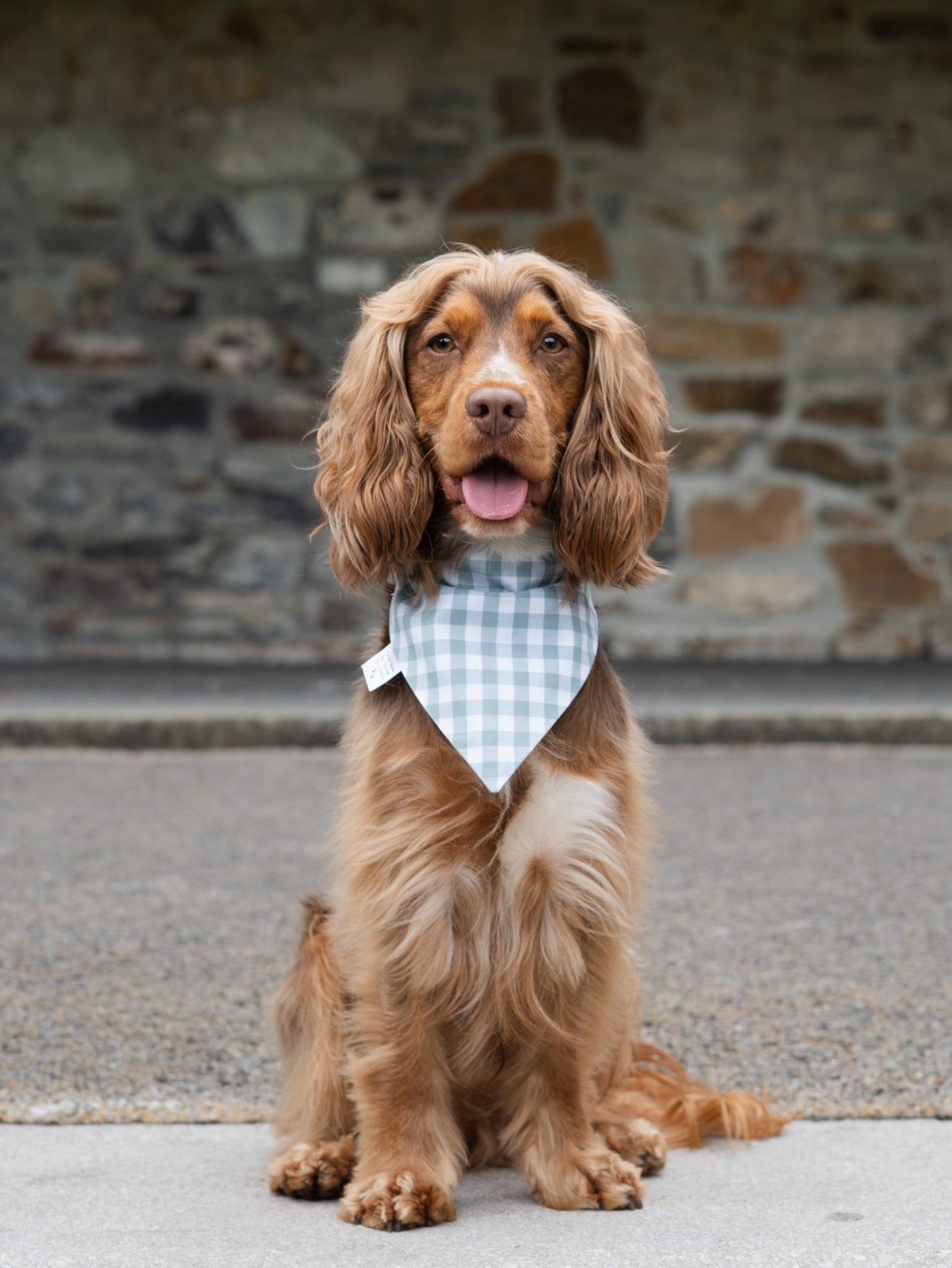 Handmade Dog Bandana - Duck Egg Gingham