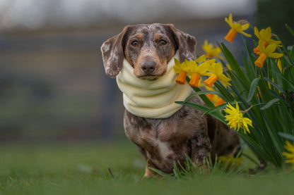 Handmade Polar Fleece Dog Snood - Lemon