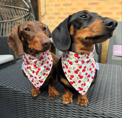 Dog Bandana - Strawberry Patch
