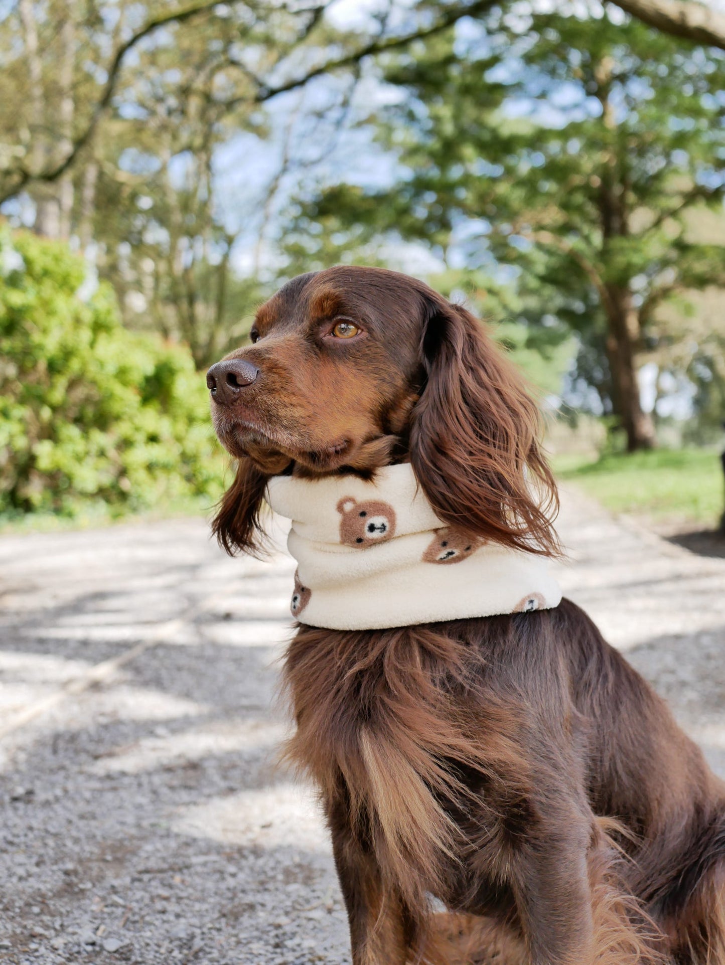 Handmade Fleece Dog Snood - Bear Necessities