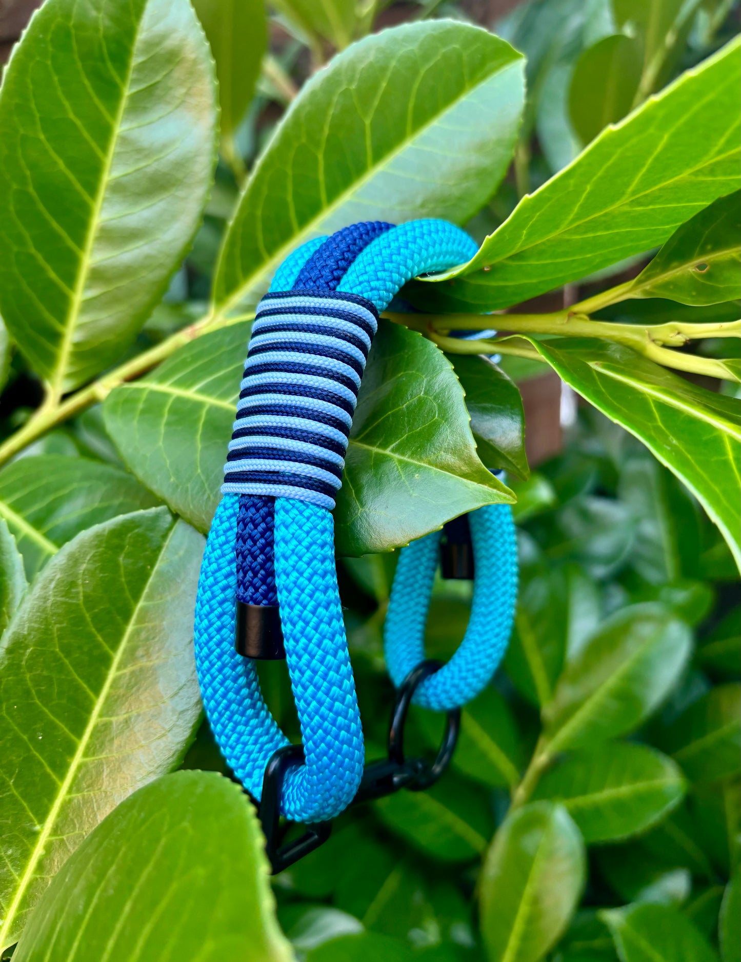 Tailor-Made Triple Layered Dog Collar - Design Your Own