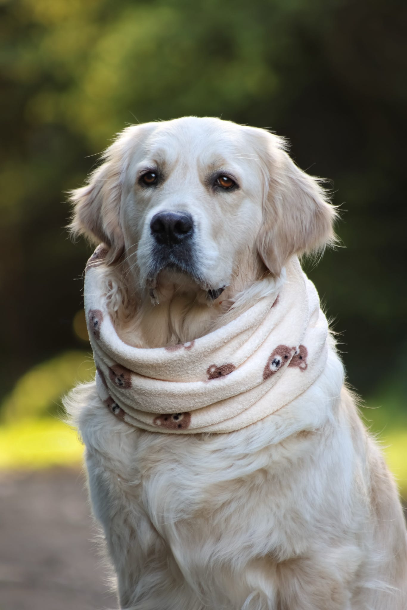 Handmade Fleece Dog Snood - Bear Necessities