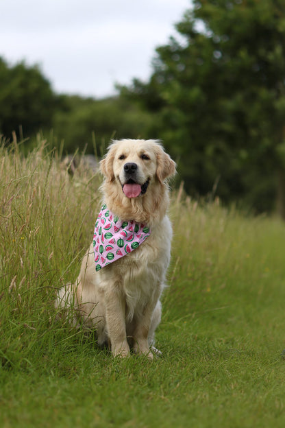 Handmade Dog Bandana - Watermelon Whimsy