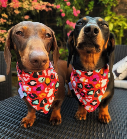 Dog Bandana - Disco Leopard